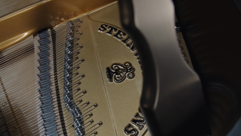 1919 Steinway Hamburg Grand B