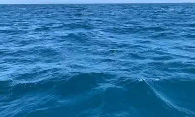 Jensen Beach Report Video 0