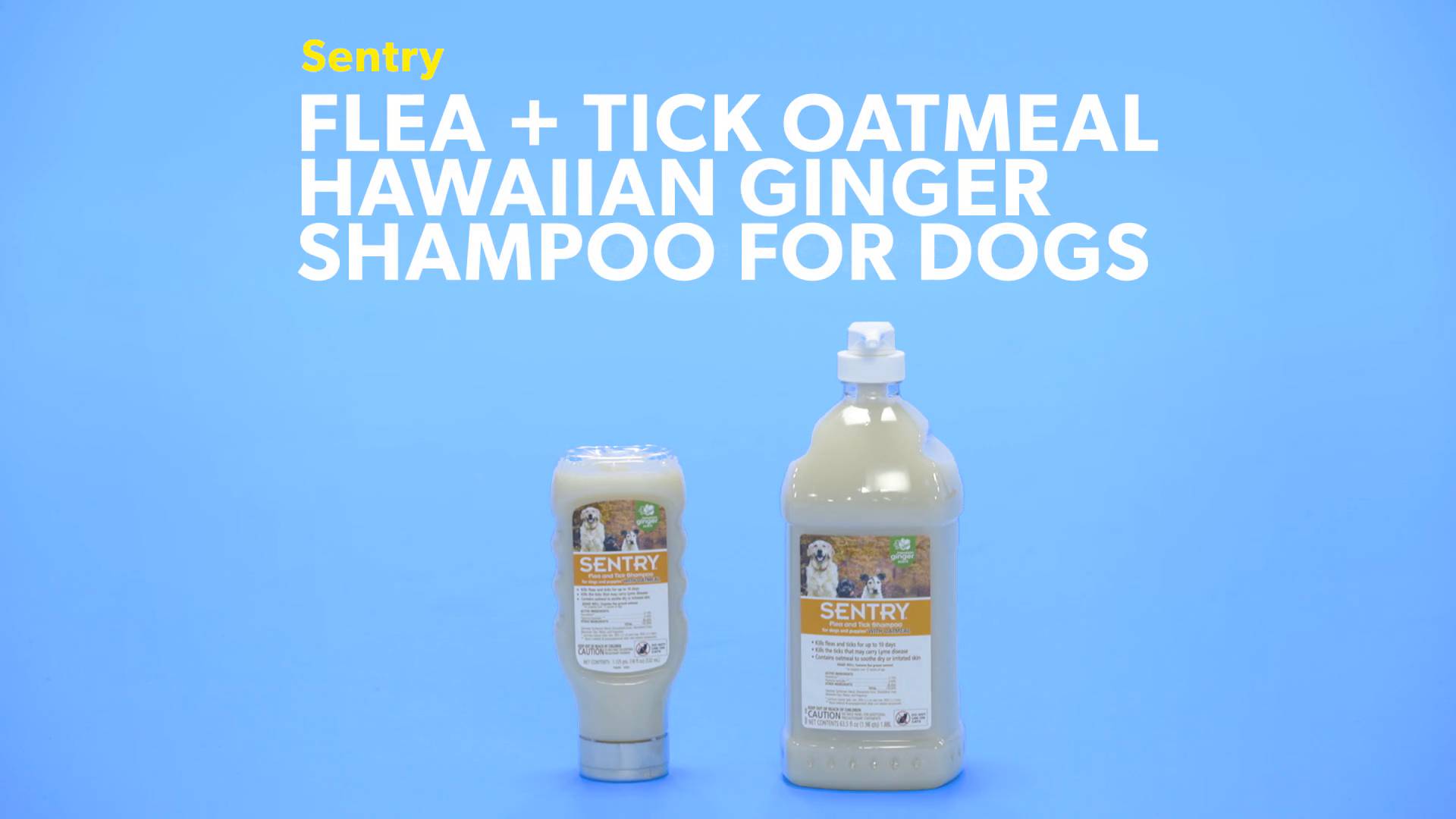 Sentry flea outlet shampoo