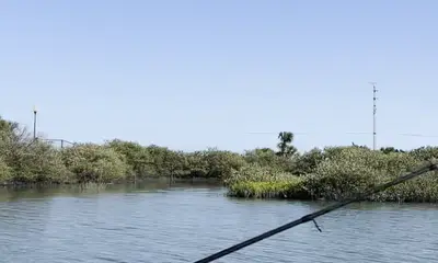 St. Augustine Report Video 1