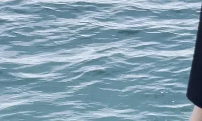 Dennis Report Video 0