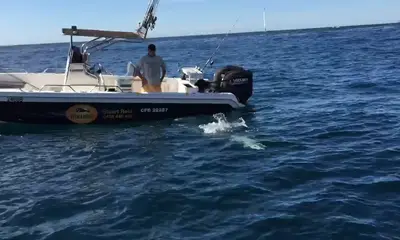 Sydney Report Video 0