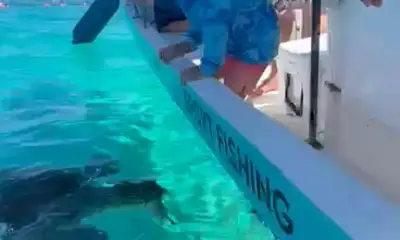 Playa Del Carmen Report Video 1