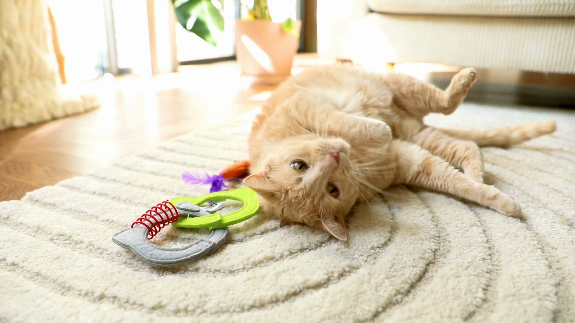 QUIRKY KITTY Kitty Connects Interactive Cat Toy - Chewy.com