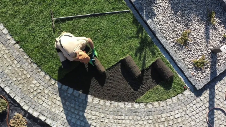 overhead view of landscaper rolling out fresh sod
