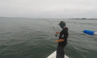 San Diego Report Video 0