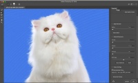 Como remover o fundo de uma imagem com o recurso Selecionar e Mascarar