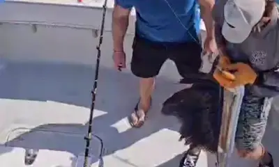 Key West Report Video 0