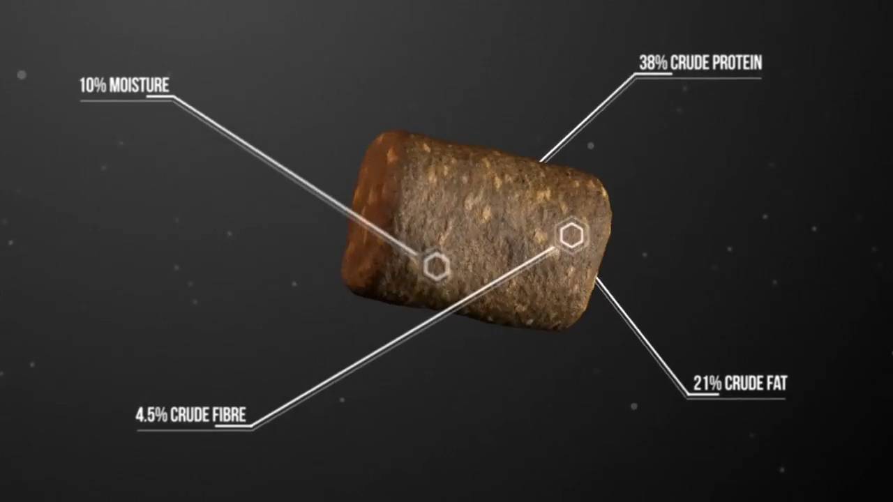 INUKSHUK Professional Dry Dog Food 26/16, 33-lb bag - Chewy.com