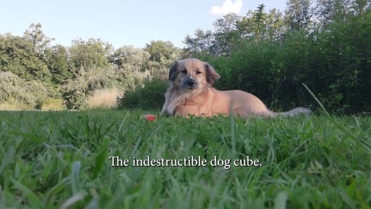 Play Video: Learn More About Ruff Dawg From Our Team of Experts
