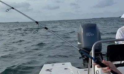 Key West Report Video 0