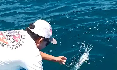 Sayulita Report Video 0