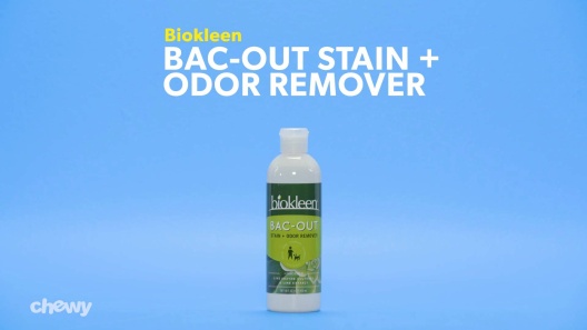 Biokleen Bac-Out Stain & Odor Remover Live Enzyme Cultures & Lime