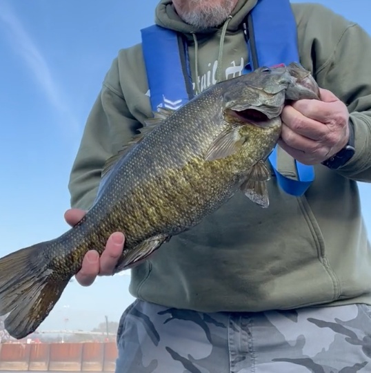Business Card: Tennessee Fishing Excursions