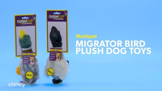 Multipet 9.5 Medium Migrator Mallard Plush Dog Toy
