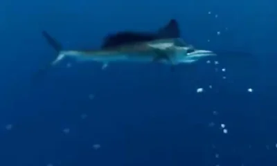 Pompano Beach Report Video 1