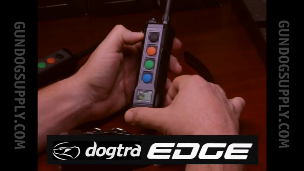 Dogtra EDGE Review