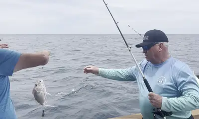 Exceptional half day of fishing!