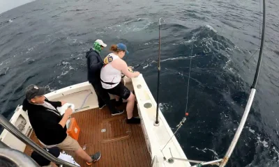 Sydney Report Video 0