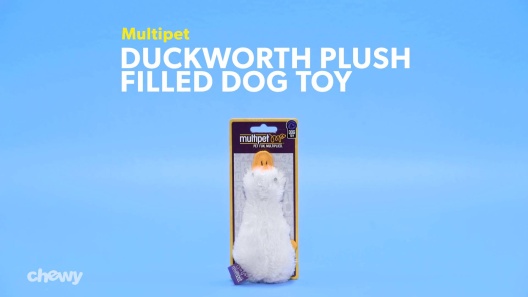 Play Video: Learn More About Multipet From Our Team of Experts
