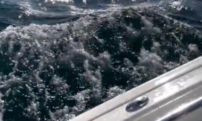 Clinton Report Video 1