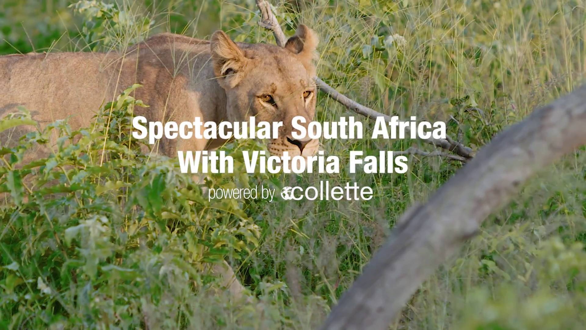 Exploring South Africa, Victoria Falls & Botswana