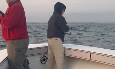 Dennis Report Video 0