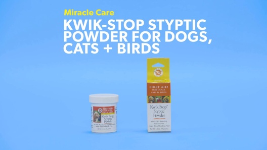 Kwik Stop Professional Pet Groomers Mobile Kit Styptic Powder Applicator &  Swabs - My Poochie's Paradise