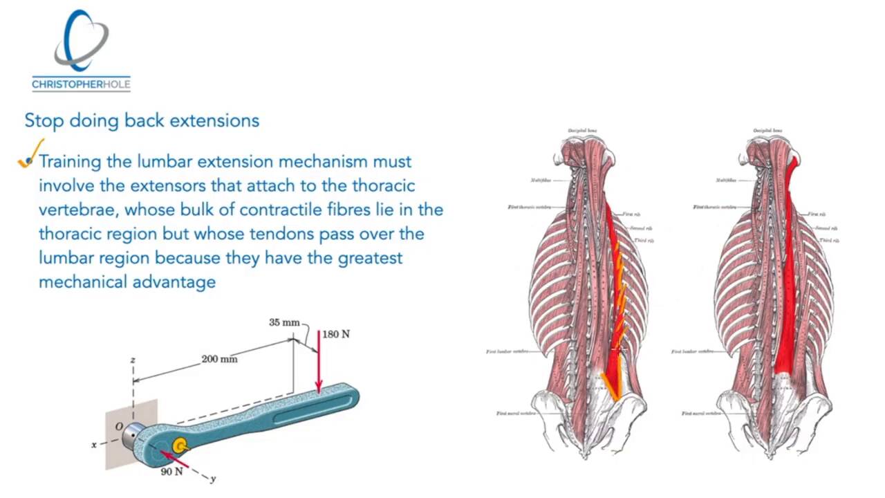 Lumbar extension hot sale