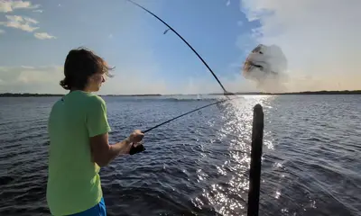 Jacksonville Report Video 0