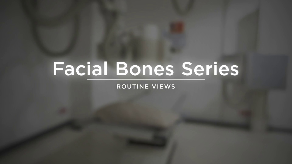 Facial Bones | Video Lesson | Clover Learning