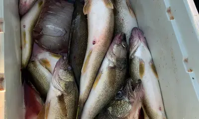 Erie Report Video 0