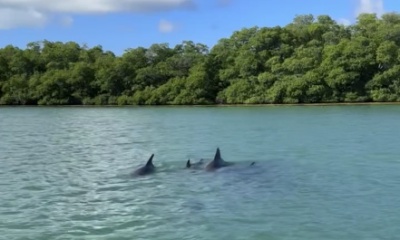 Beautiful day with Captain Carly