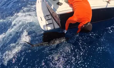 Cancún Report Video 0