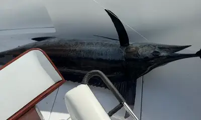 Once in a lifetime charter