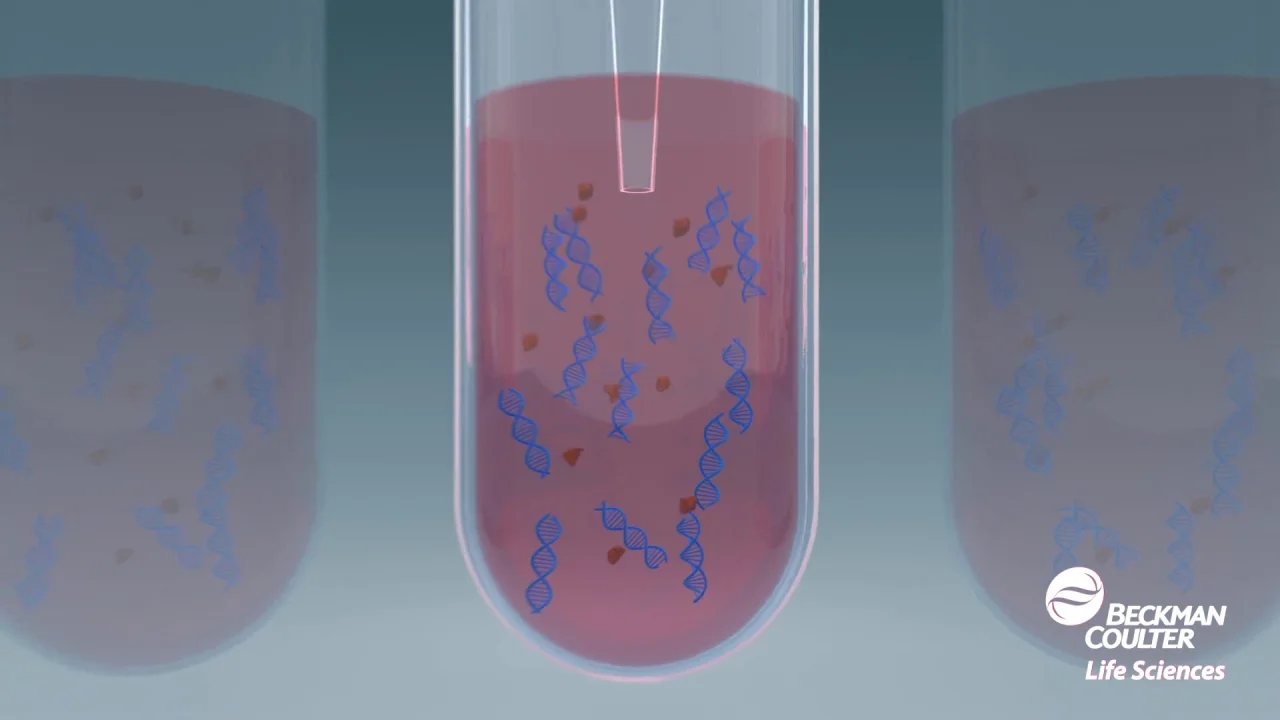 SPRI Bead Technology: How Do SPRI Beads Work?
