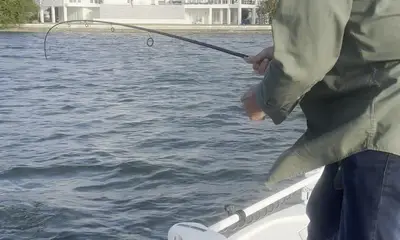 Nokomis Report Video 0