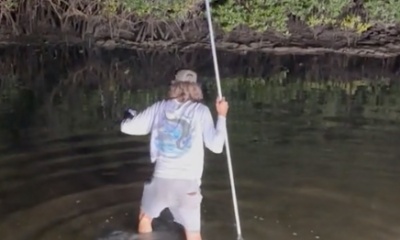 Crystal River Report Video 0