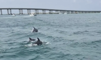 An Unforgettable Day at Crab Island!