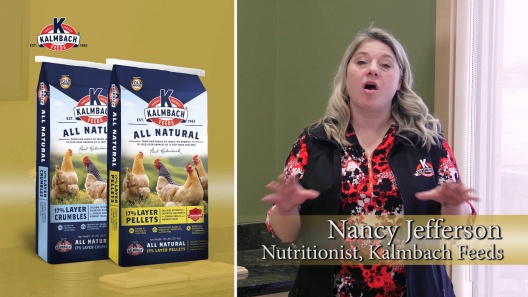 Play Video: Learn More About Kalmbach Feeds From Our Team of Experts