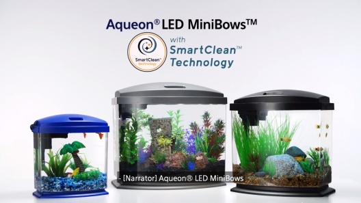 Aqueon LED 2.5 Gallon MiniBow SmartClean Fish Aquarium Kit w/ Nano Power  Filter