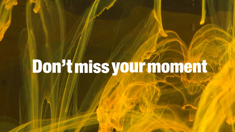 Holiday Hustle (Coming This December)👀