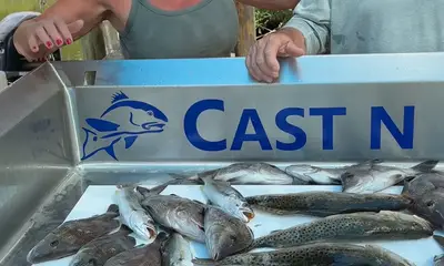 Crystal River Report Video 2
