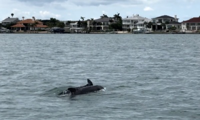 Great Day on the Water