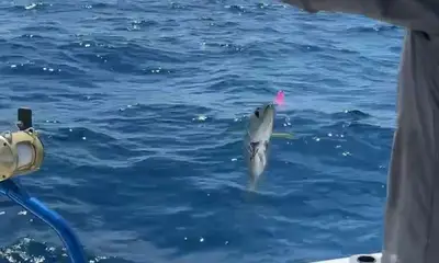 Catching not fishing