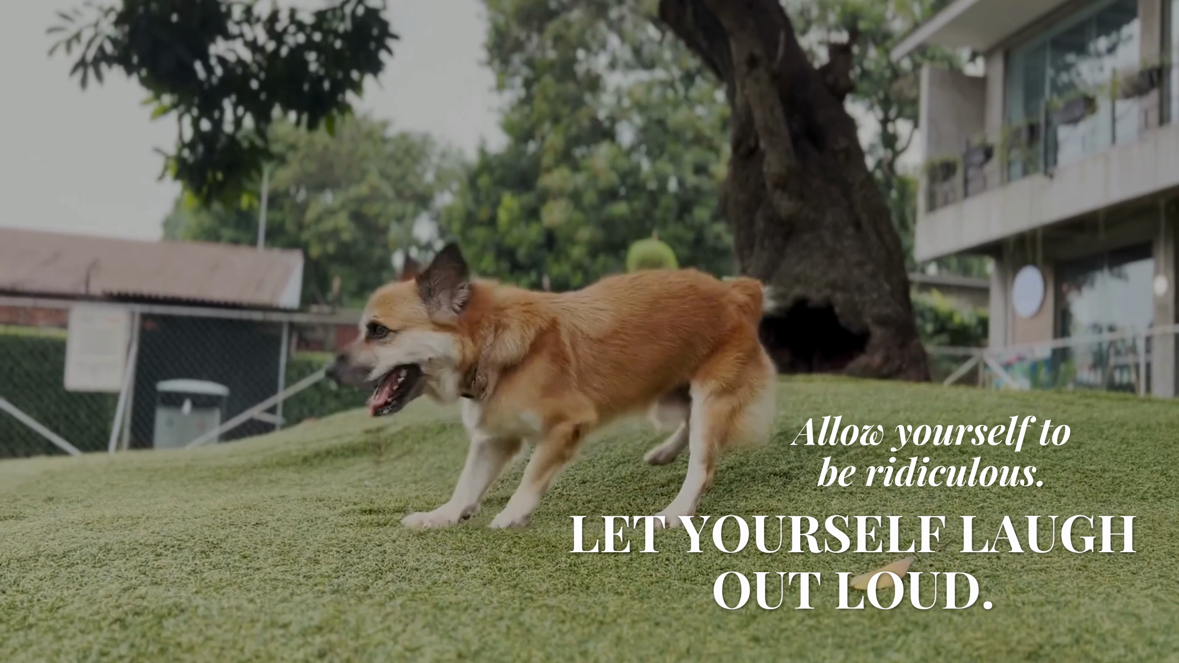 The Foolishness Ritual