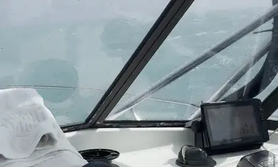 Bad weather, keeper snapper.