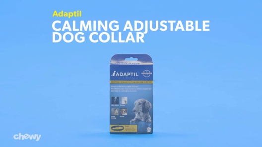 ADAPTIL On-the-Go Calming Collar for Dogs, Small, up to 14.7-in neck, 2  count 