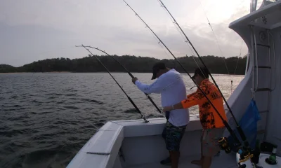 Panama City Report Video 1