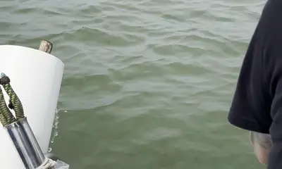 awesome captian